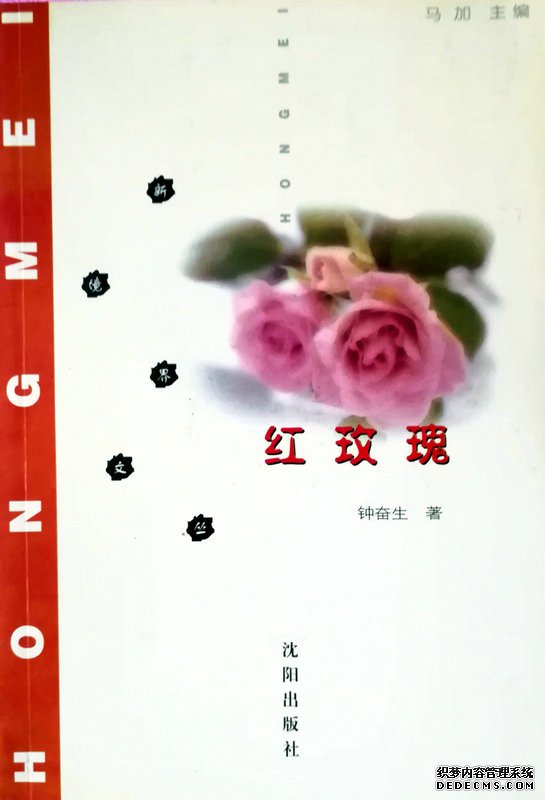 ——知青爱情长篇小说《红玫瑰》（3）