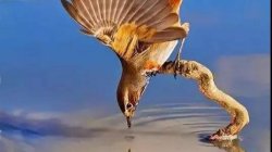 心弦相牵，牵挂生暖：论缘分、守护与心灵的归